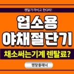업소용 야채절단기 렌탈 채소써는기계 중고 보다 렌탈